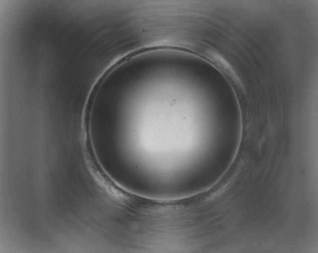 X0000073450892200607281218