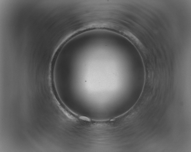 X0000073450894200607281218