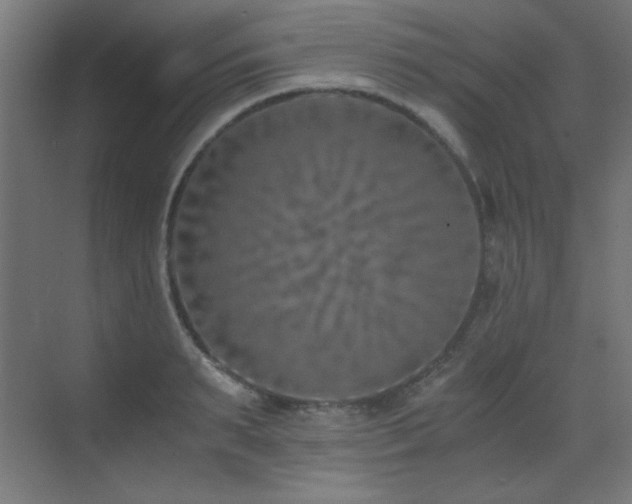 X0000073450895200607281218