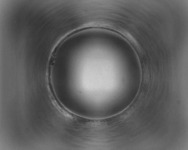 X0000073450896200607281218