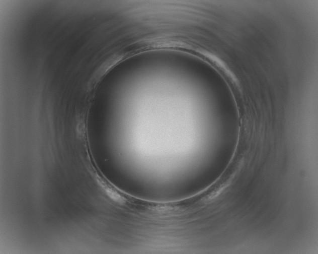 X0000073450897200607281218