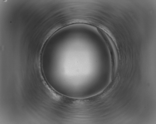 X0000073450898200607281218