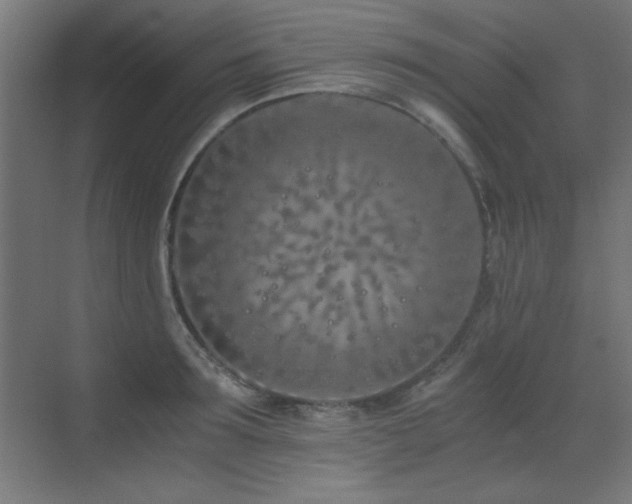 X0000073450899200607281218