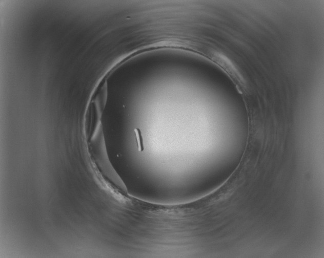 X0000073450900200607281218