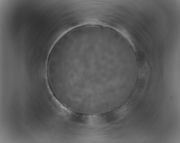 X0000073450903200607281218