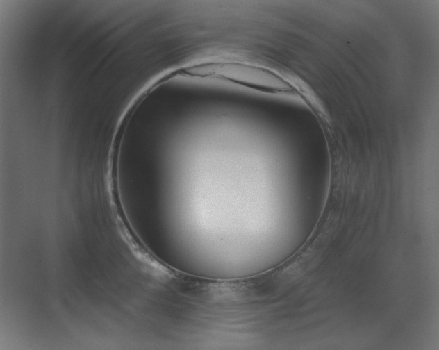 X0000073450904200607281218