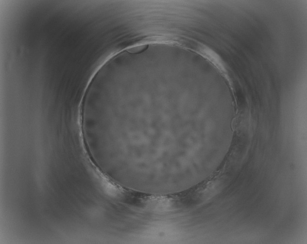 X0000073450907200607281218