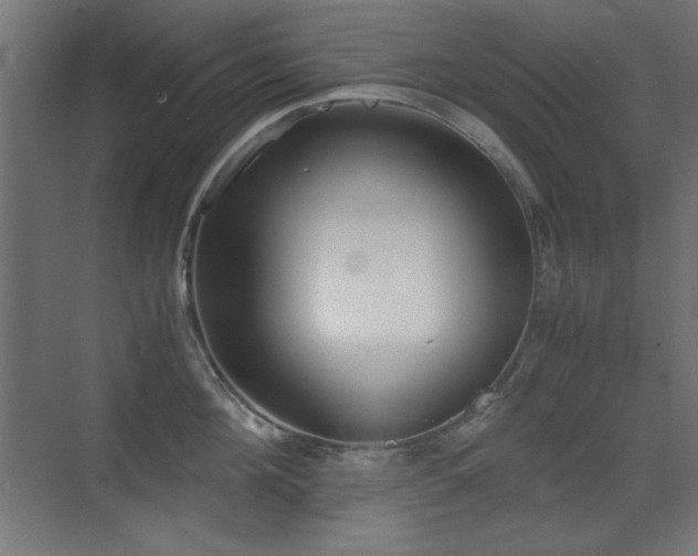 X0000073450908200607281218