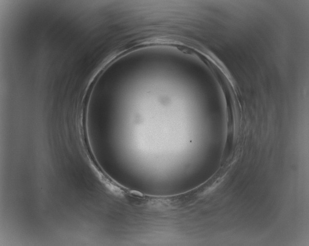 X0000073450909200607281218