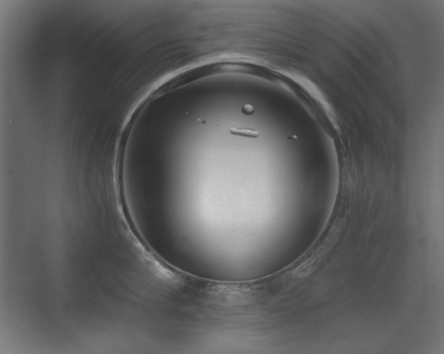 X0000073450910200607281217