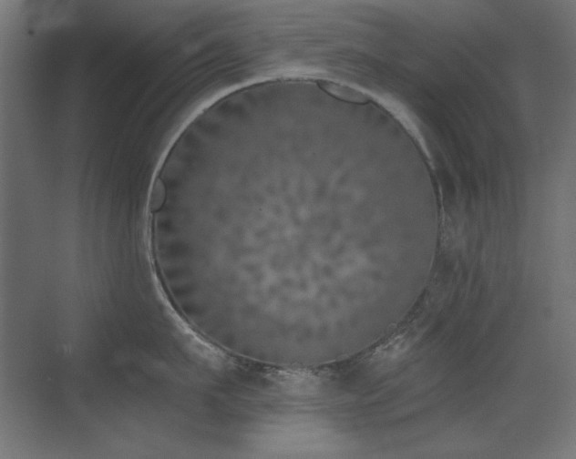 X0000073450911200607281217