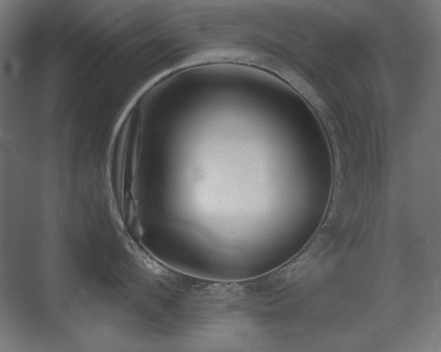 X0000073450912200607281217