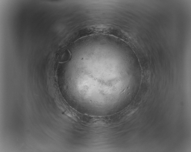 X0000073450913200607281217