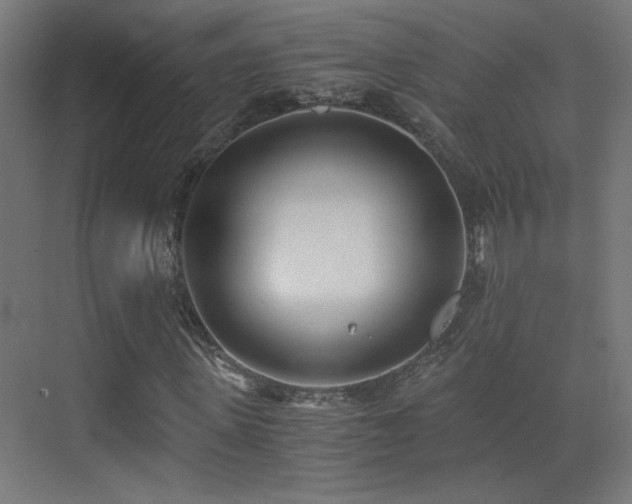 X0000073450915200607281217