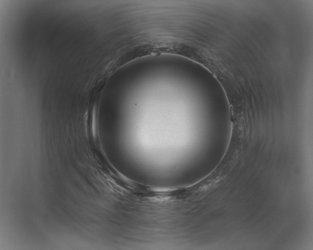 X0000073450916200607281217