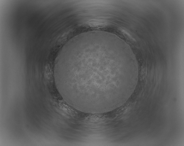 X0000073450917200607281217