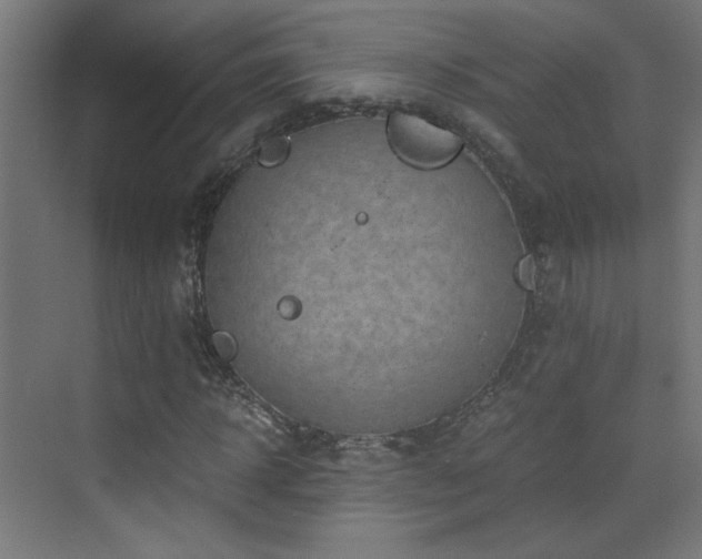 X0000073450918200607281217