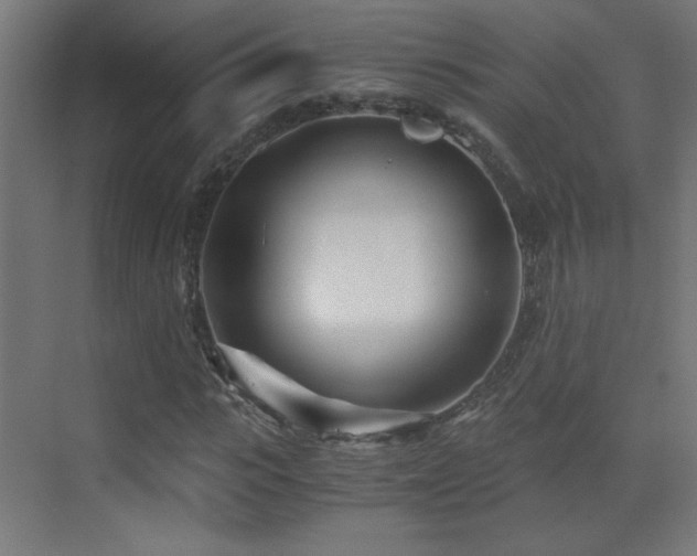 X0000073450919200607281217