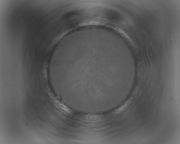 X0000073450921200607281217