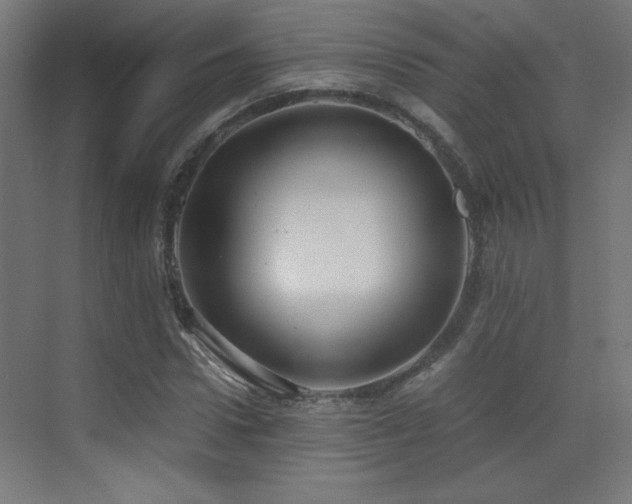 X0000073450922200607281217