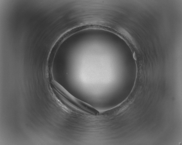 X0000073450924200607281217