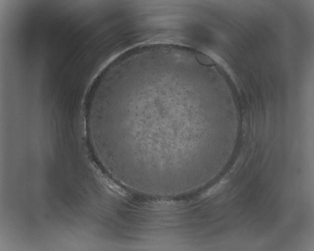 X0000073450925200607281217