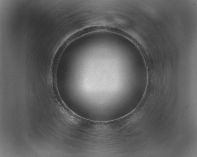 X0000073450927200607281217