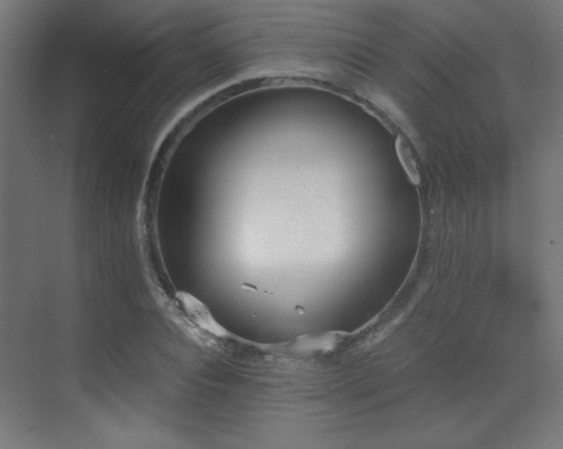 X0000073450928200607281217