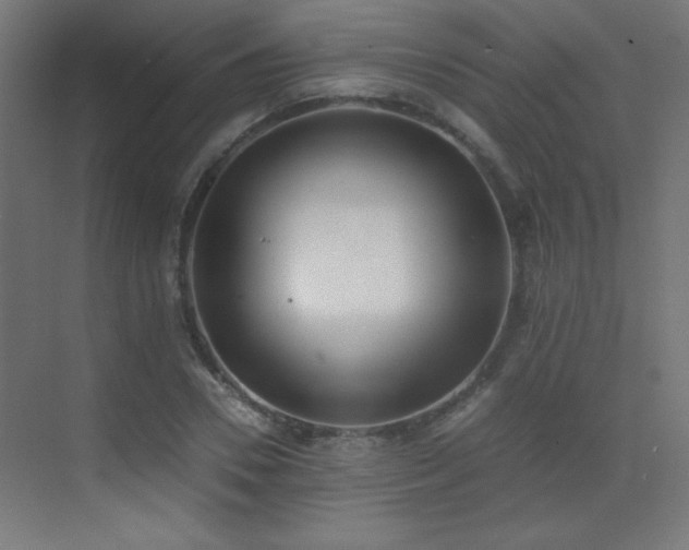 X0000073450930200607281217