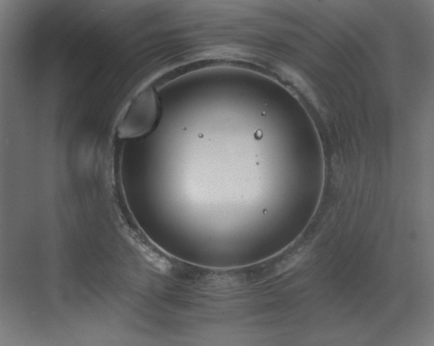 X0000073450931200607281217