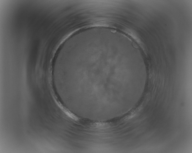 X0000073450933200607281217