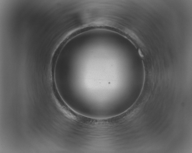 X0000073450934200607281217