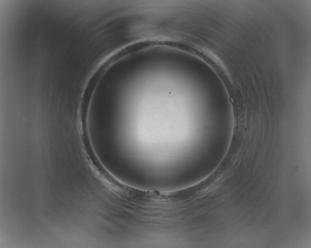 X0000073450935200607281217