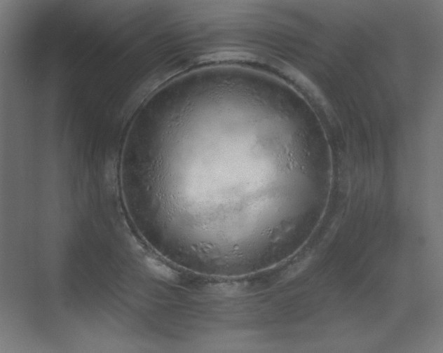 X0000073450937200607281217