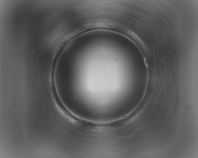 X0000073450938200607281217