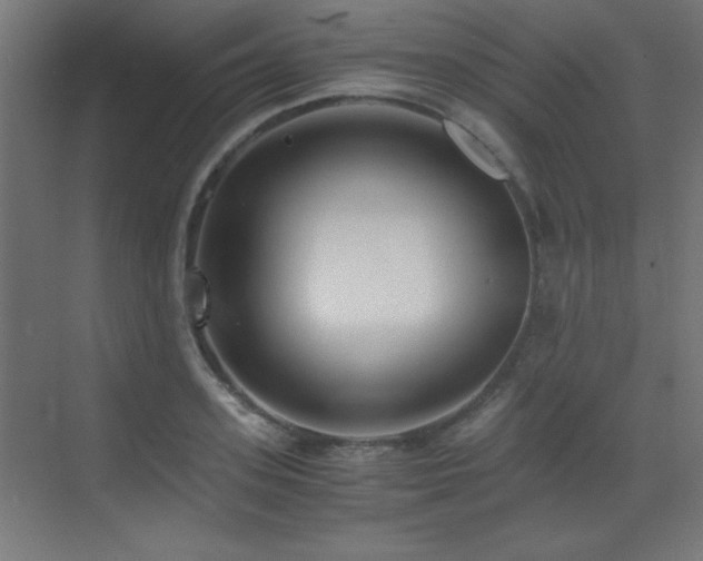 X0000073450939200607281217