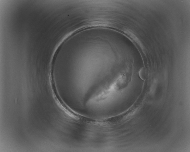 X0000073450941200607281217