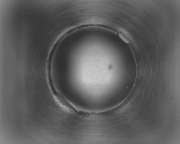 X0000073450942200607281217