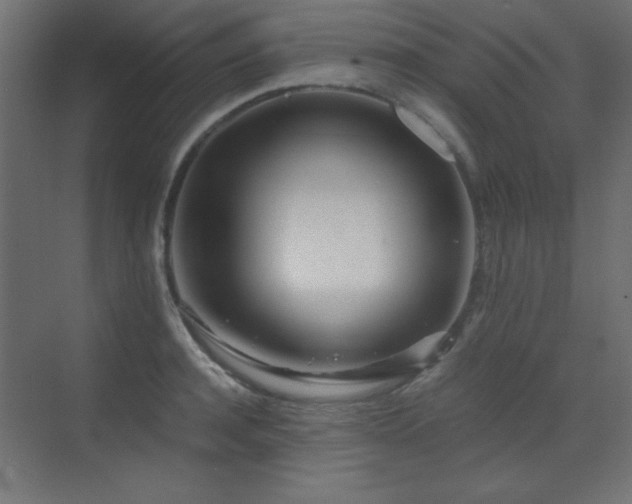 X0000073450944200607281217