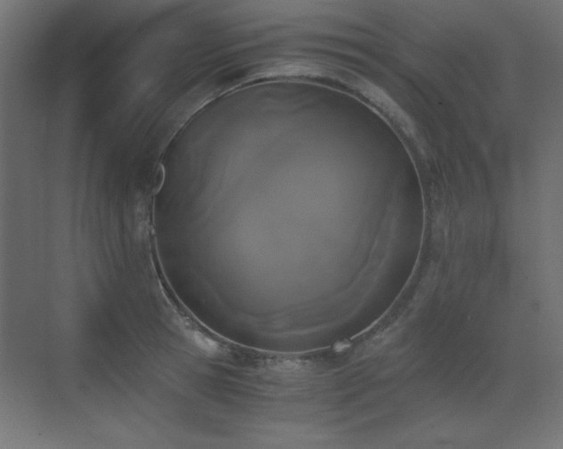 X0000073450945200607281217