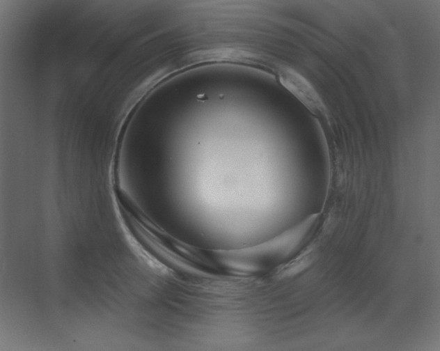 X0000073450946200607281217