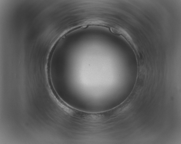 X0000073450947200607281217