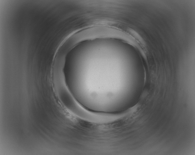 X0000073450948200607281217