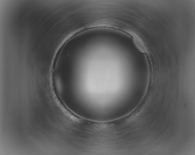 X0000073450949200607281217