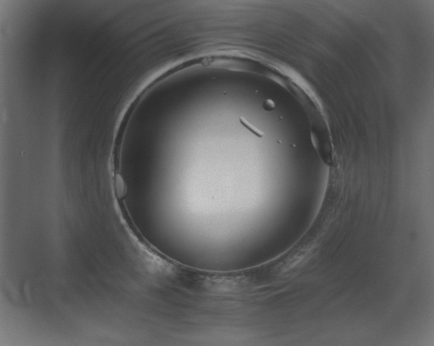 X0000073450951200607281217