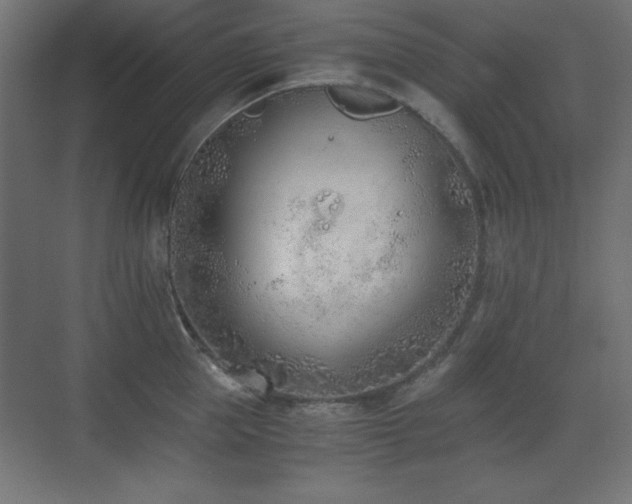 X0000073450953200607281217