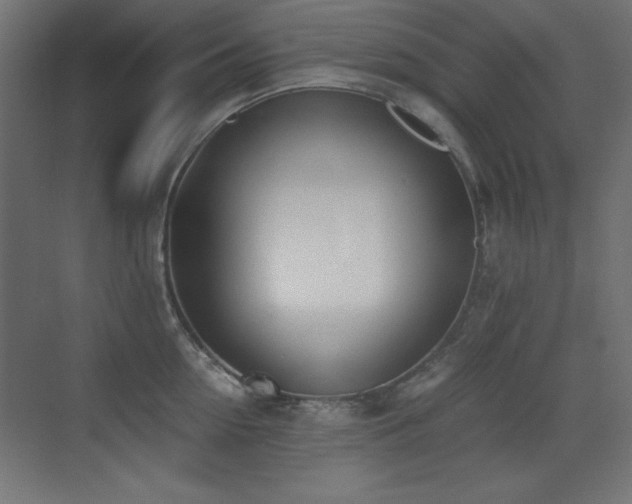 X0000073450954200607281217