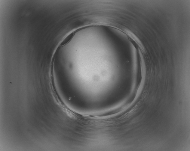 X0000073450956200607281217