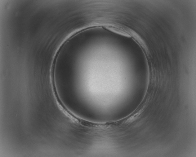 X0000073450958200607281217