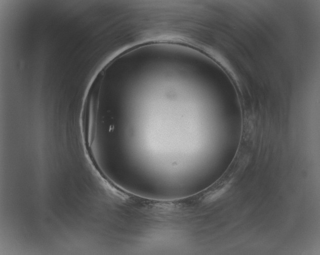 X0000073450959200607281217